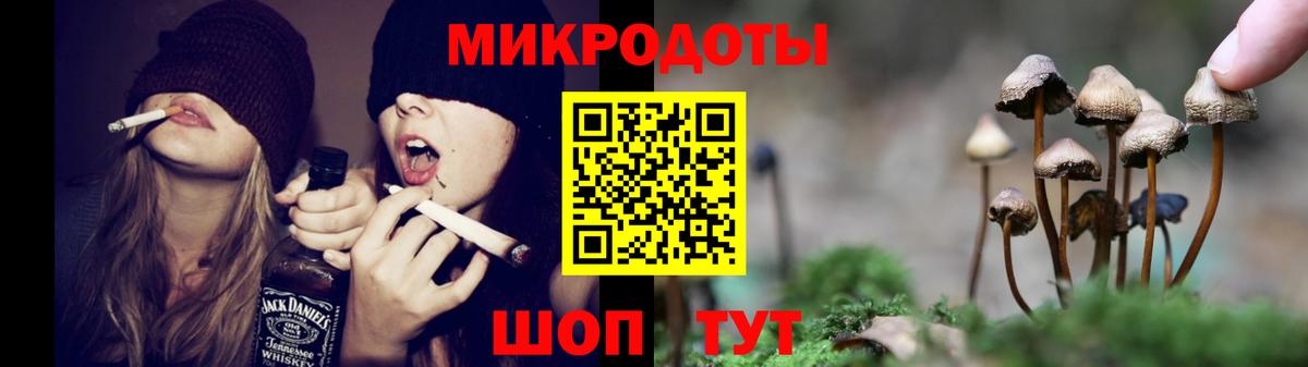Галлюциногенные грибы мухоморы  Вход с VPN  Галлюциногенные грибы Magic Shrooms  закладка  Стрежевой 